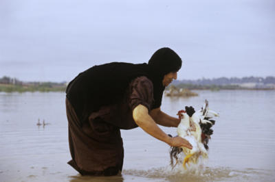 gallery.religion.sabian.09