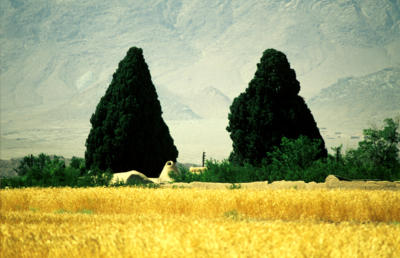 gallery.religion.zaratoustrian.01