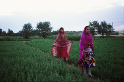 gallery.religion.zaratoustrian.02