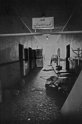 indiv.book.sky.earth.10