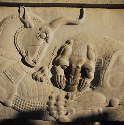 indiv.book.splendour.1.16